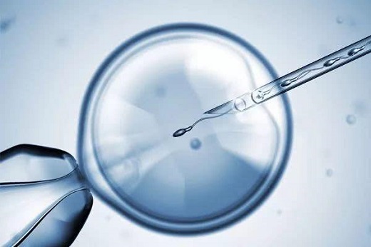 成都三代试管婴儿的？成都供胚移植试管婴儿多少钱？